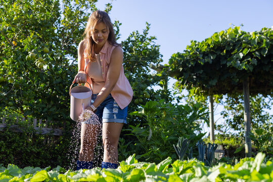African woman pouring water onto greens in backyard with pink watering can, wearing garden boots