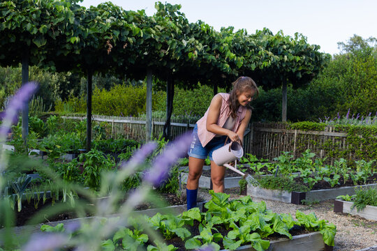 African American woman watering raised beds in home garden with white watering can in blue boots