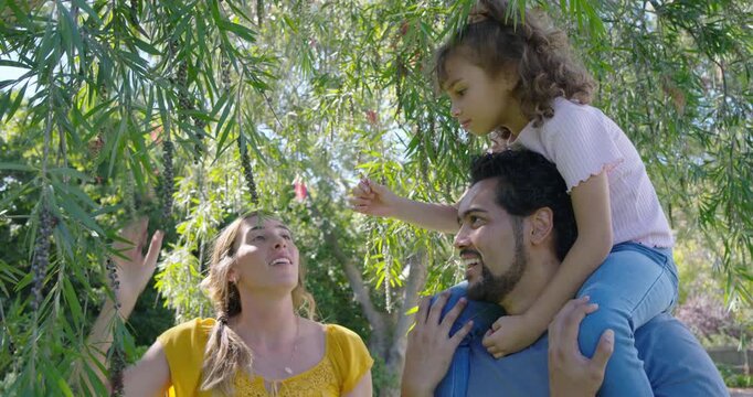 Family spotting tree blossom, plucking and handing it to child while father steadying her in park