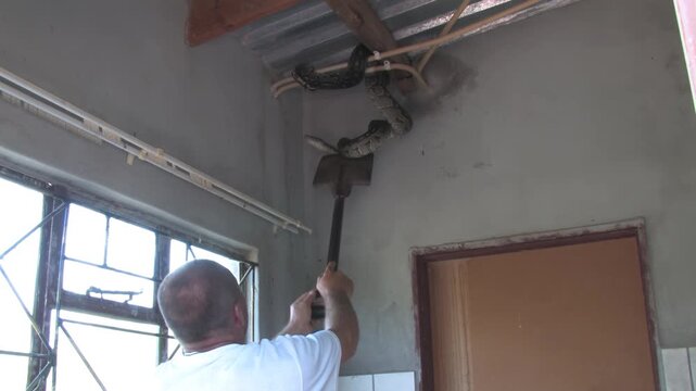men carefully handle a massive African rock python From house Indoor Ceiling in a rural Botswana setting