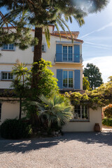 Obraz premium Pale yellow villa in Antibes with powder blue shutters, terracotta tiles, and wrought iron rails stands by a cobblestone drive, palms, vines, and midday crisp shadows
