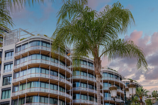 Curved glass facades and continuous balconies rise behind palm trees in Monaco near the harbor at dusk, with warm lighting and ornate streetlamps adding a refined mood.