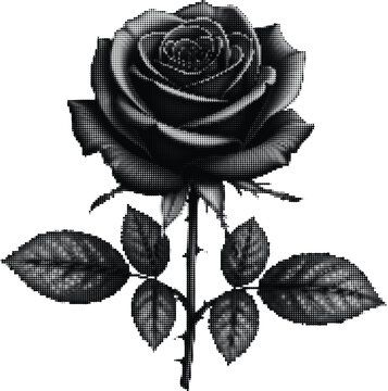 Elegant rose flower illustration with halftone dot shading for romantic floral design and artistic decoration.