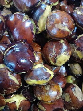 Archidendron pauciflorum fresh from farmer