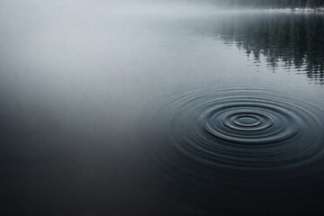 Obraz premium Close-up of circles on the water on a foggy lake. Space for text.