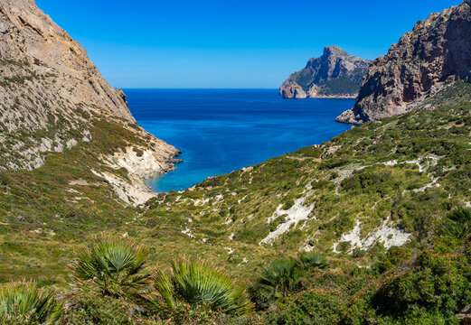 Wandern auf Mallorca, Spanien: Weg zur Bucht, Strand - Cala B&oacute;quer N&auml;he Port de Pollenca, mit t&uuml;rkisgr&uuml;nem Meer