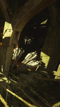 Sunlight softly spills through a rustic wooden frame, illuminating forgotten arrows piled in shadow. Nature starts to reclaim the old structure, creating a tranquil moment of beauty.