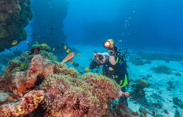 Underwater photographer filming clownfish and anemones on a coral reef in the Red Sea. © underwaterstas