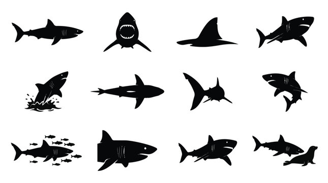 Collection of diverse shark silhouettes in various dynamic poses.