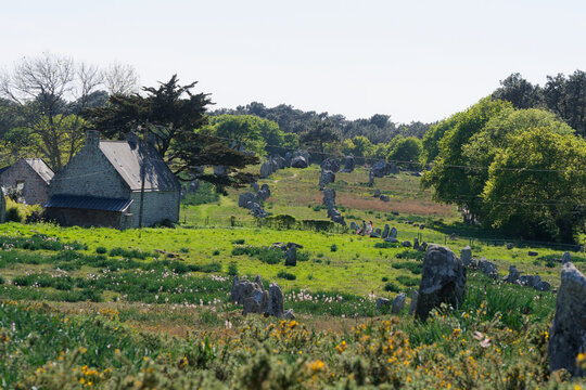 Les alignements de Carnac, en Bretagne, sont un site m&eacute;galithique exceptionnel compos&eacute; de milliers de menhirs &eacute;rig&eacute;s au N&eacute;olithique. Un myst&eacute;rieux t&eacute;moignage monumental unique au monde &agrave; d&eacute;couvrir.