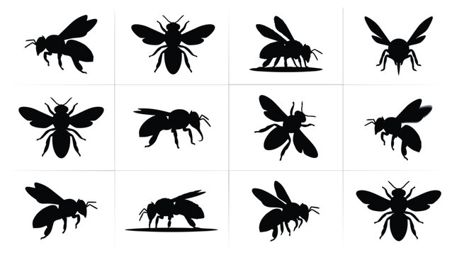 Collection of various bee and wasp silhouettes in different poses.