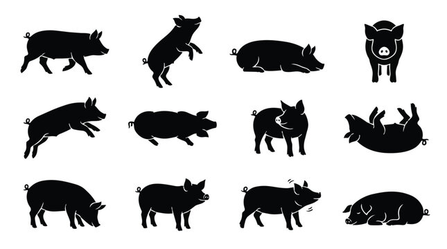 Collection of various pig silhouettes in different poses showcasing their natural behaviors and forms.