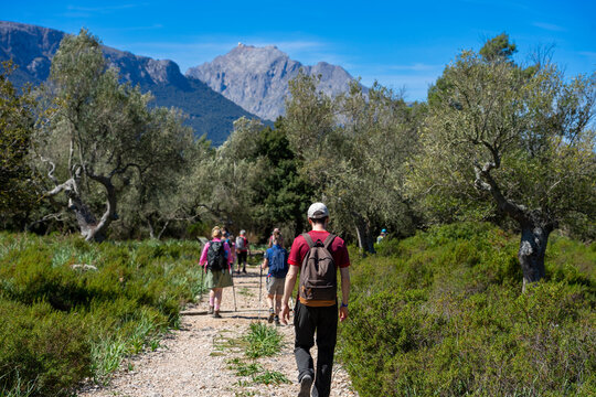 Mallorca, Spanien: Wanderung auf dem GR 221 zum Kloster Lluc, Santuari de Santa Maria de Lluc - Wandergruppe, im Hintergrund der Puig Major
