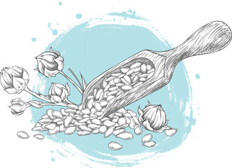 Fototapeta premium Flax seeds in wooden scoop with stems vector sketch, superfood, engraved hand drawn Linen cereal crops grains harvest