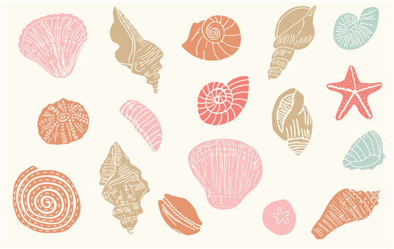 hand drawn colorful seashells and marine life vectors of starfish, nautilus, and various shells in ink crayon line art style. Ideal for summer branding, coastal decor, Mediterranean beach design