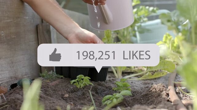 Woman pouring water over seedlings, likes counter hovering above gardening, rising with each drop