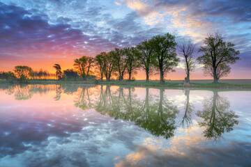 Naklejka premium Beautiful sunrise over lake in the forest