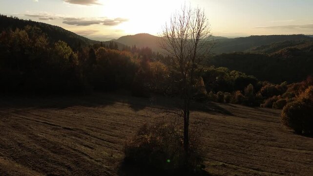 Dramatic sunset over autumn woodland hills