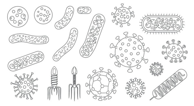 Set of Bacteria, Viruses and Microorganisms Outline Icons. Collection of Vector Pathogens, Germs, and Microbes Illustration for Science, Medicine, and Healthcare Design.