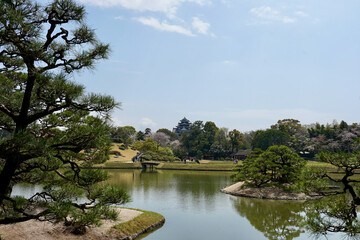 Obraz premium Okayama Castle Overlooking Korakuen Garden Pond With Cherry Blossoms and Traditional Japanese Landscape