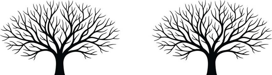 Obraz premium Leafless tree vector illustration set, symmetrical branching silhouettes representing forest, nature diversity and decorative design elements
