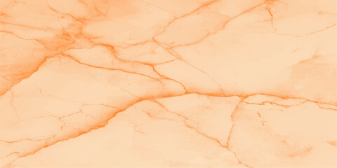 Fototapeta premium A captivating macro shot presents a mesmerizing display of intricate veining, evoking a sense of enduring elegance and refined beauty.