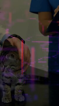 Vertical video: Owner holding kitten on table for exam, vet using scope, purple overlay appearing