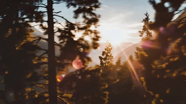 Sunlight filters through trees in mountainous landscape, showcasing vibrant colors and natural beauty, with a focus on the interplay of light and shadow in the foreground