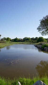 Panoramic pan shot of ancient tree and lake reflection in Teos archaeological site