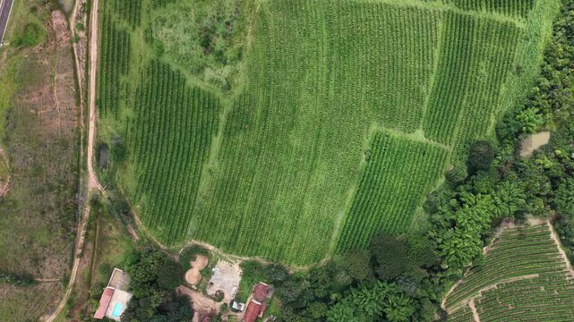 Imagem a&eacute;rea de uma pequena cidade do interior do brasil