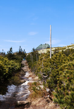 stroma,kamienista ścieżek do schroniska Szrenica