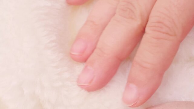 female hand touching soft fur texture, tactile sensation concept, delicate material, luxury fabric, fashion and textile industry, closeup detail, sensory perception comfort, sensory perception