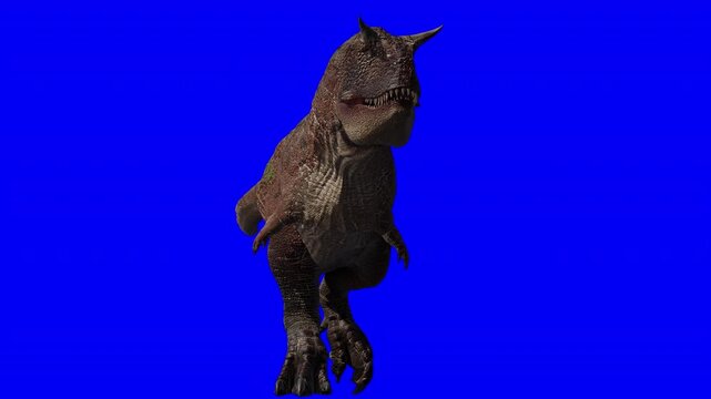 A profile view of a Carnotaurus roaring, showcasing brow horns and sharp teeth, isolated on a bright green chromakey background