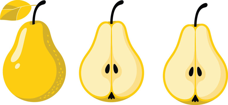 Vector illustration of whole and halved yellow pears with seeds, stems, and leaves for fresh fruit and nutrition themes