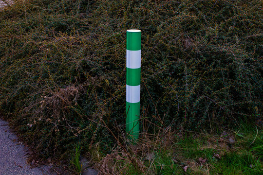 Safety First: Minimalist Reflective Traffic Bollard Nestled in Garden Foliage