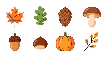 Autumnal nature elements collection © Alexa