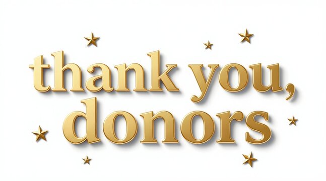 Gold metallic 3D text says thank donors surrounded by small stars. Elegant typography conveys gratitude, appreciation on clean white background with soft shadows. Minimalist design for recognition