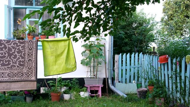 Outside a white rural house with a blue wooden fence, a brown rug and a light green cloth hang nearby. A red pot and green slippers are placed on the fence, creating a simple and colorful village .