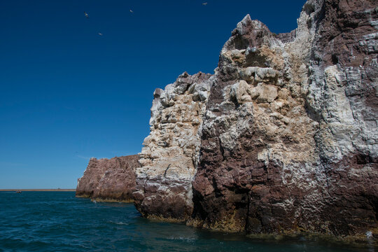 Ria de Puesto Deseado Nature Reserve, Santa Cruz Province, Patagonia, Argentina.