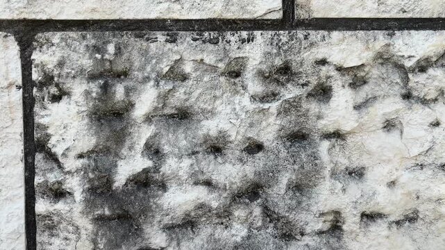 Grey stone wall with heavy black mold patches and dark fungal growth showing severe moisture damage and deterioration on rough surface