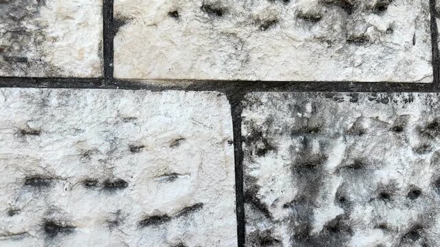White stone brick wall with scattered black mold spots and dense fungal patches showing moisture damage and surface contamination on rough texture

