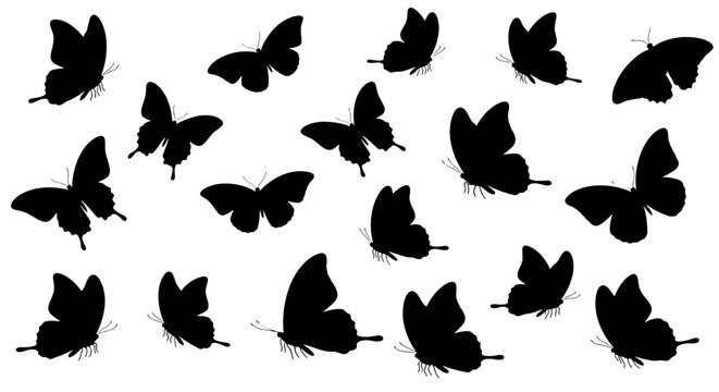 Collection of black butterfly silhouettes