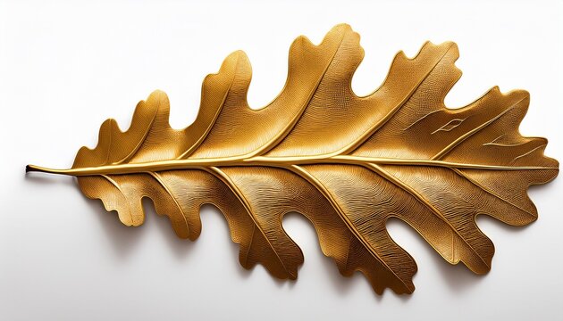 a detailed die cut image of a beautiful golden oak leaf isolated on a white background showcasing its intricate veins and textures perfect for nature themed designs