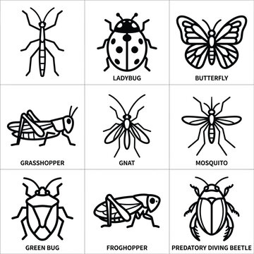 Insects are depicted in various illustrations including ladybug, butterfly, grasshopper, and beetle in a graphic design reference bis 321 eps