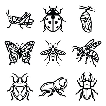 Insects and bugs are shown in various poses and stages of life bis 271 eps