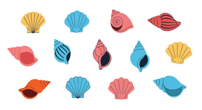 Colorful seashell collection on white background