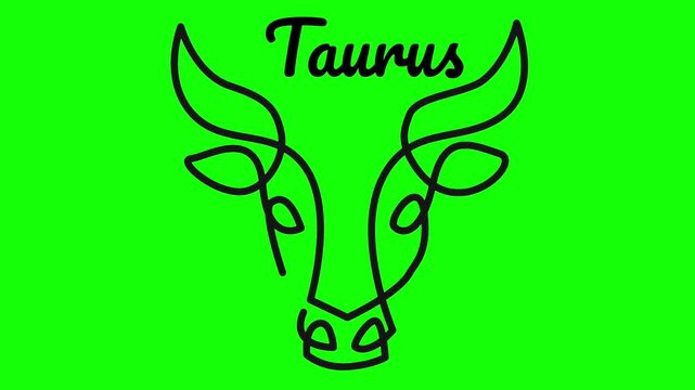 Taurus Zodiac One Line Animation &ndash; Minimal Line Art Symbol Motion Graphic