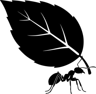 Black silhouette of an ant carrying a leaf, minimalist flat design
