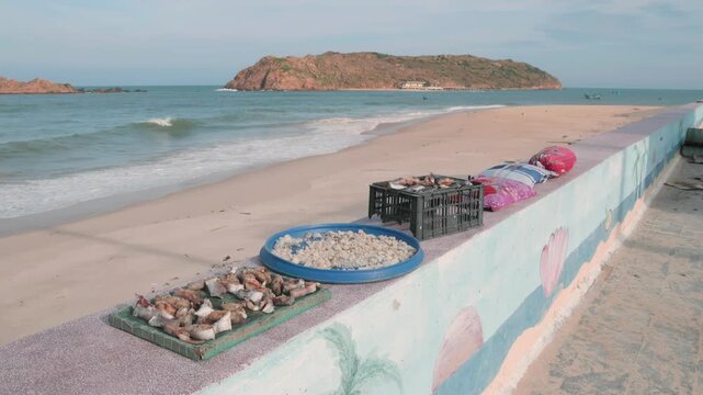 Freshly caught fish are prepared for drying on a beach in Nhon Hai, Quy Nhon, Binh Dinh, Vietnam. The catch will be sold at the local market.