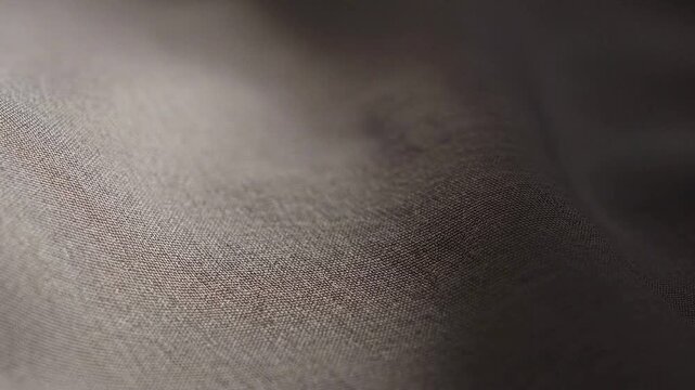 Close-up video recording of  furry texture on animal skin